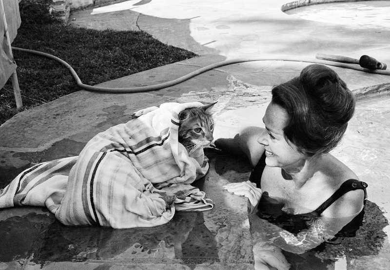 Illustration for article titled Here's a Lady Taking Her Cat for a SwimÂ